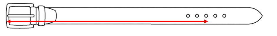  Esempio di rappresentazione di un nastro e dei punti di misura.